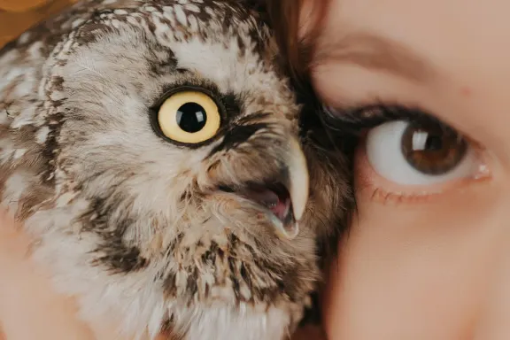 Casino Welcome Bingo Tacaíocht